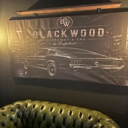 Lejlighed Blackwood - Spa, Cheminee, Vue
